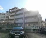 シャンドール東野