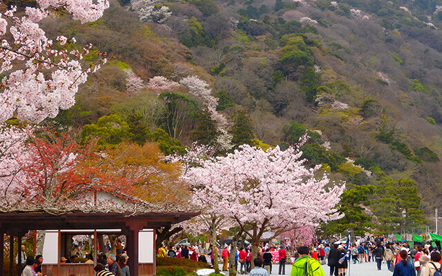 嵐山公園