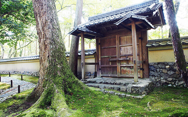 苔寺（洪隠山 西芳寺）