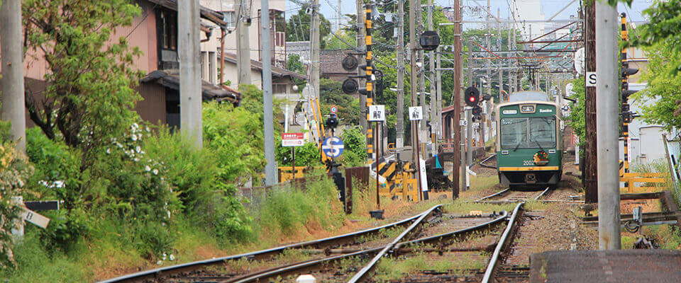 北野・衣笠エリアのご紹介