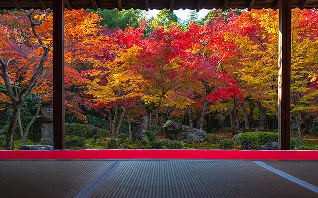 圓光寺