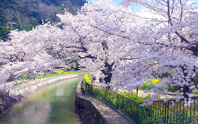 山科疏水公園