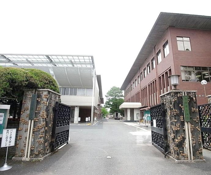 【北白川東伊織町１４貸家】