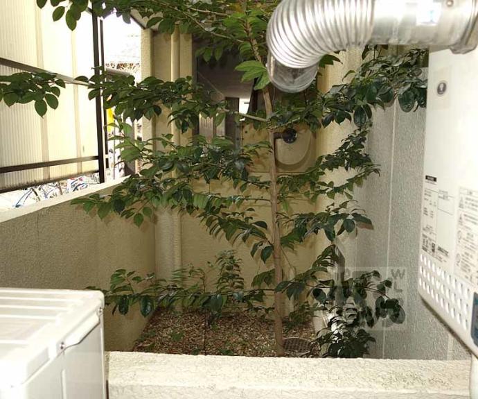 【チェリーアート東山】間取