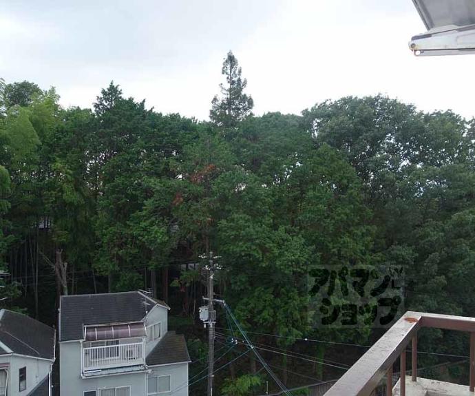 【泉涌寺アビタシオン】間取