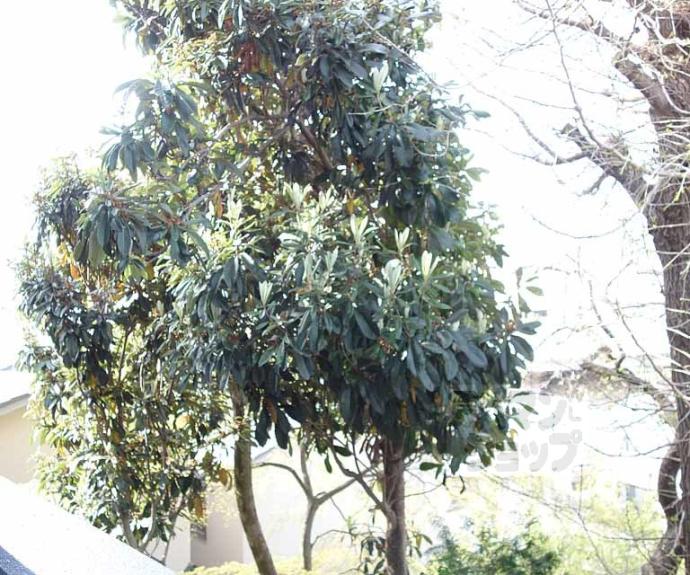 【ＴＨＥＧＡＲＮＥＴＳＵＩＴＥＲＥＳＩＤＥＮＣＥ清水五条ＥＡＳＴ】間取