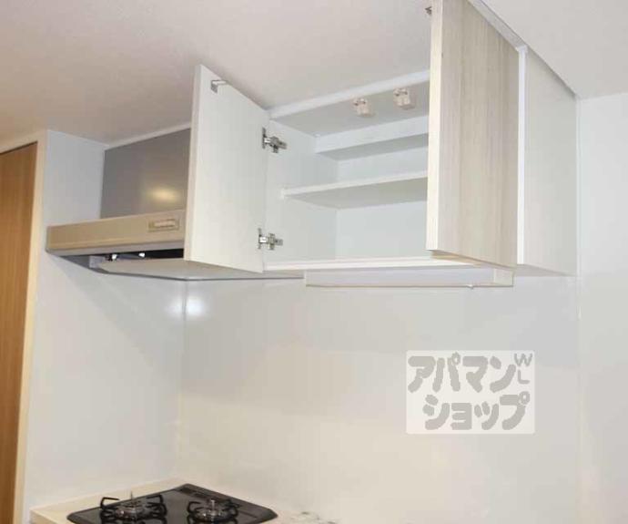 【プレサンス THE KYOTO 吉祥院】間取