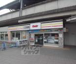 BASE IN KYOTO 花園