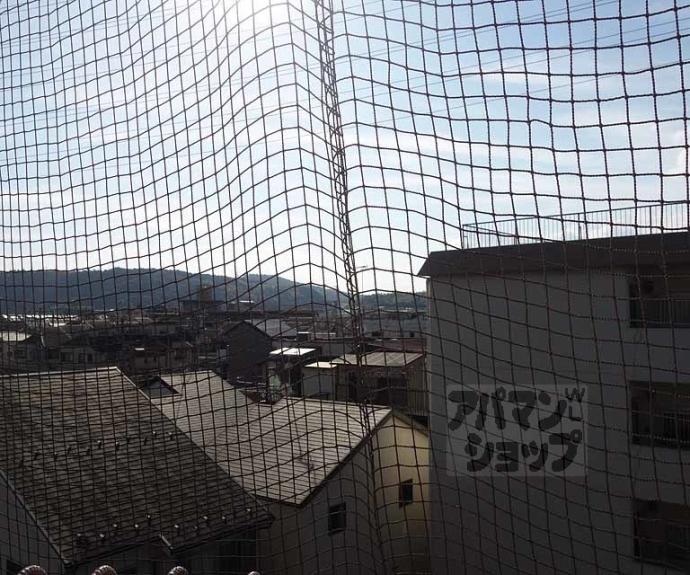 【関生ハイツ】間取