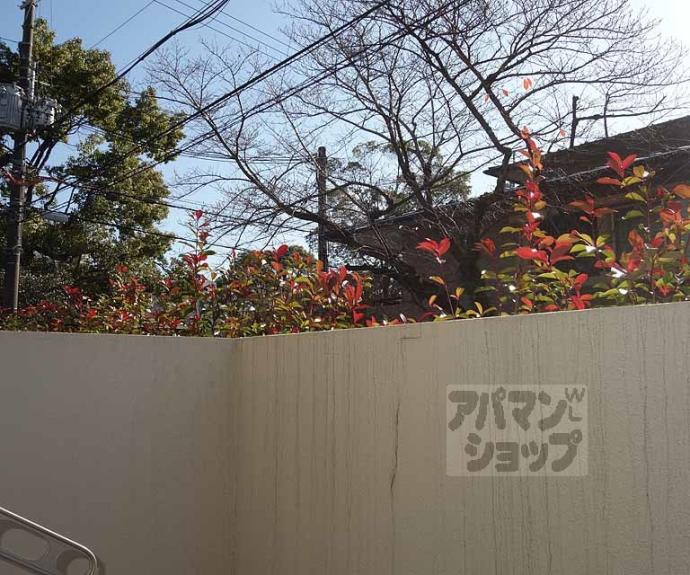 【エルヴィータ安朱】間取