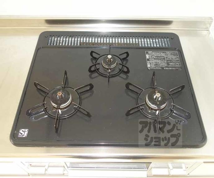 【エルヴィータ安朱】間取