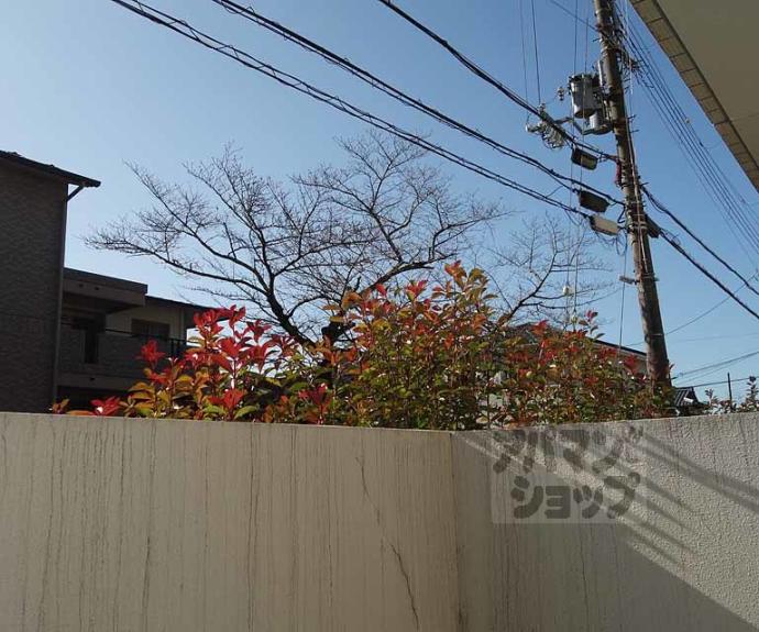 【エルヴィータ安朱】間取