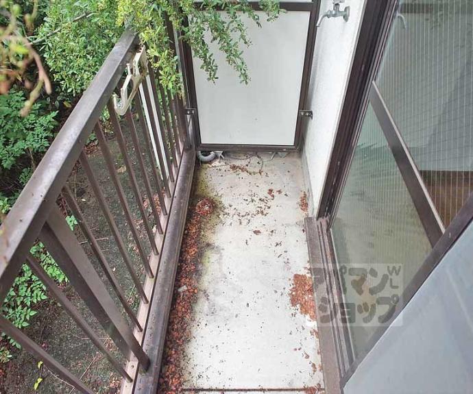 【メゾン大】間取