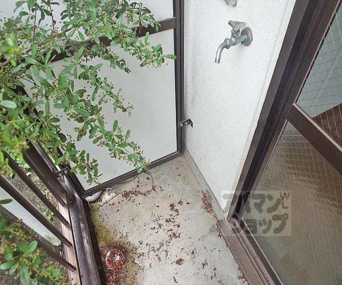 【メゾン大】間取