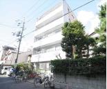 マウンテンリップ