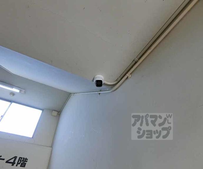 【天草マンション】間取