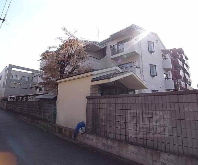 【エバグリーン】間取