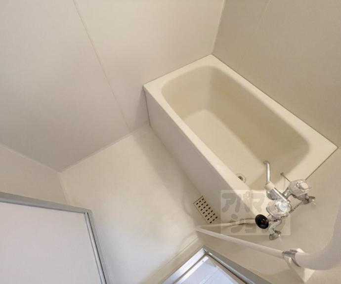 【エバグリーン】