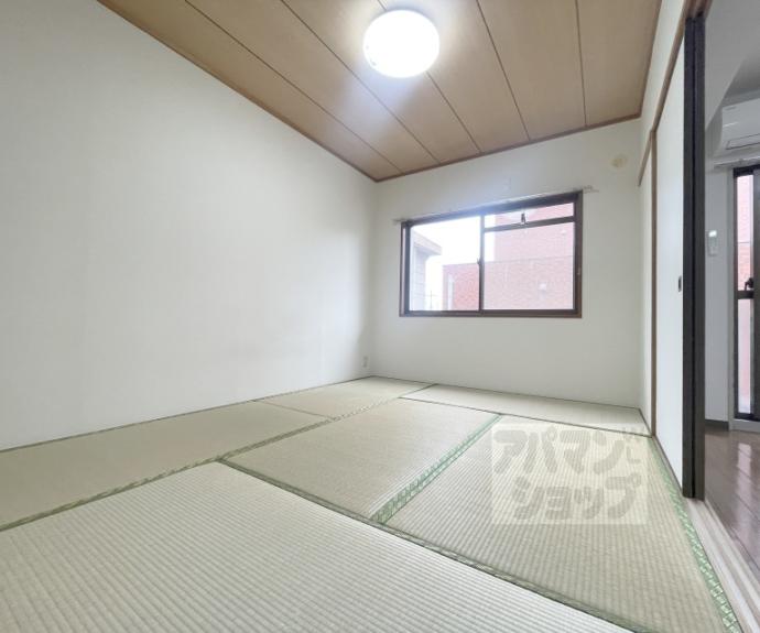 【エバグリーン】