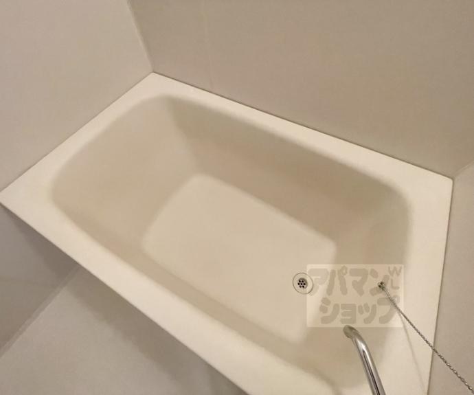 【エバグリーン】