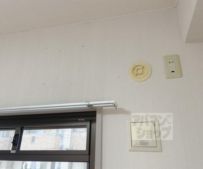 【エバグリーン】