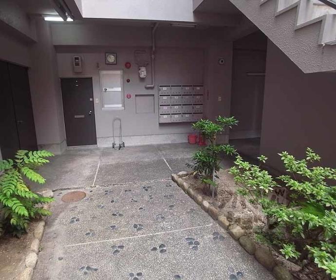 【キングスコート】間取