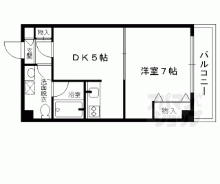 【ドルフィンⅤ】