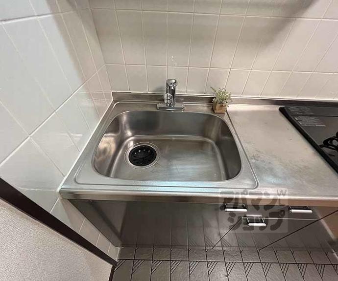 【ドルフィンⅤ】間取