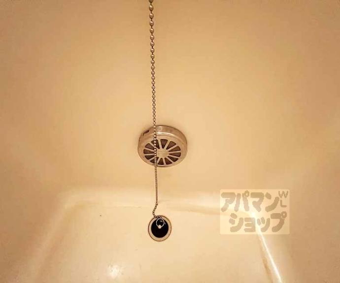 【ドルフィンⅤ】間取