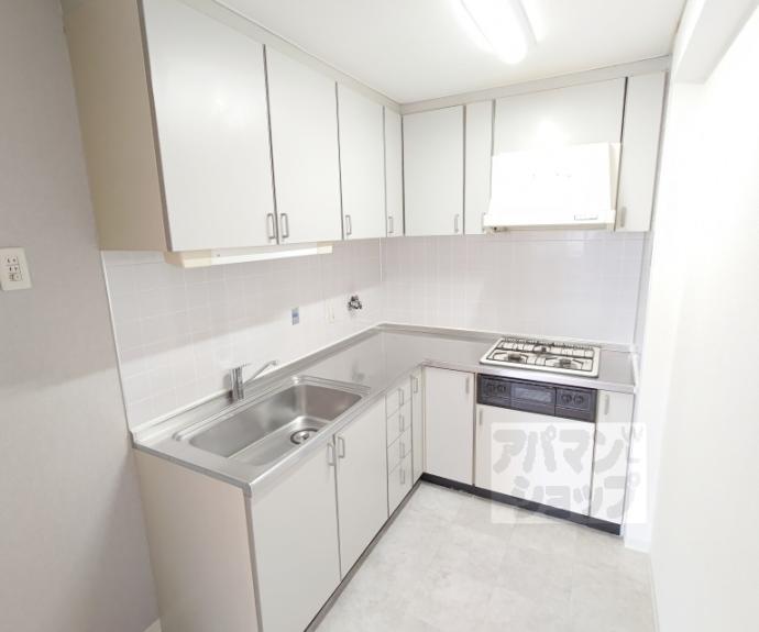 【レトロマンションⅢ】間取