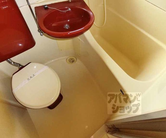 【メゾンアオヤマ】間取