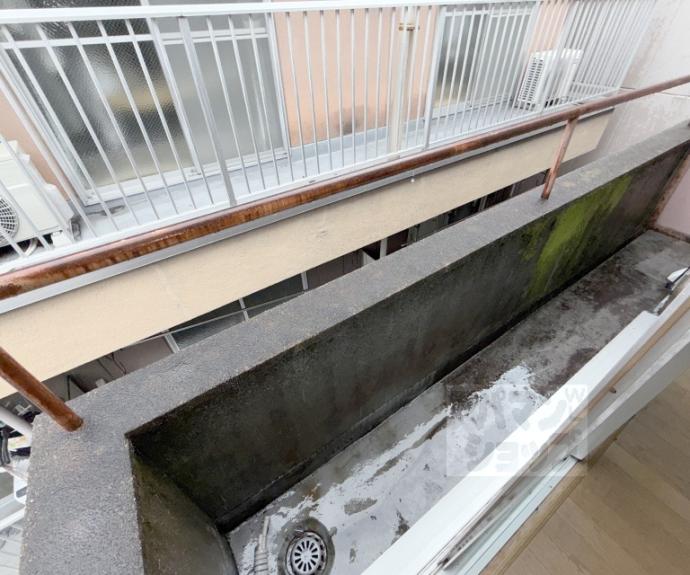 【コーポ松本】間取