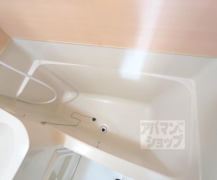 【カサペルダーニョ】