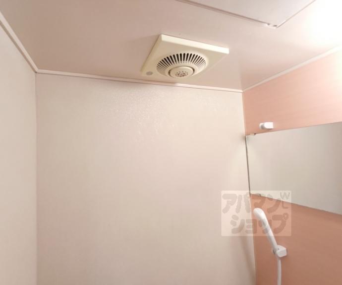 【カサペルダーニョ】