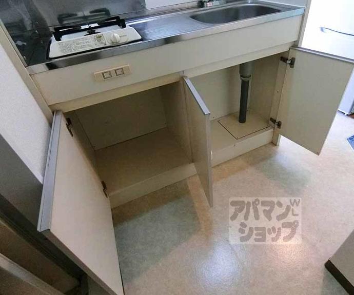 【ネオ・ボナール華】間取