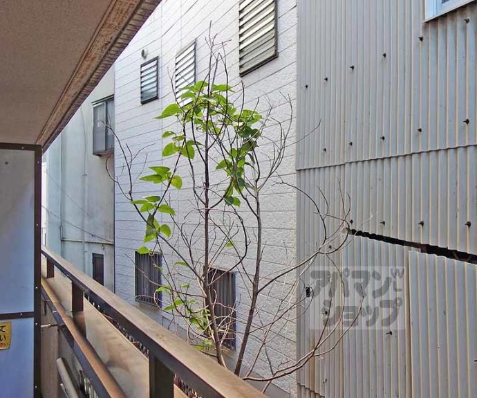 【ローズハイツ桂】間取