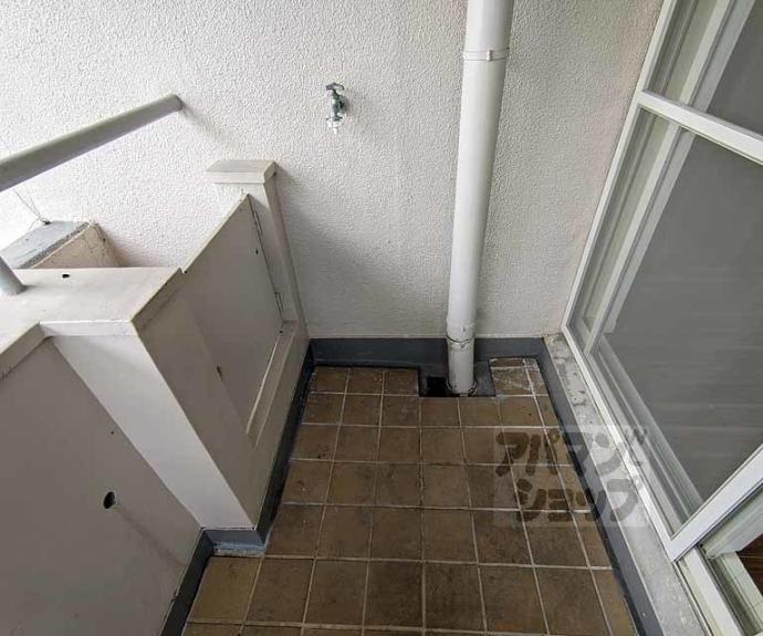 【シーズン嵐山】