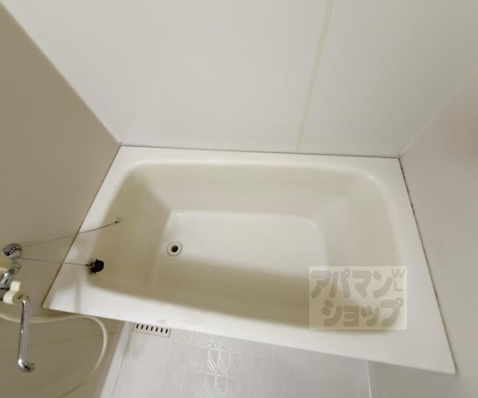 【プラムタウンイマイ】間取