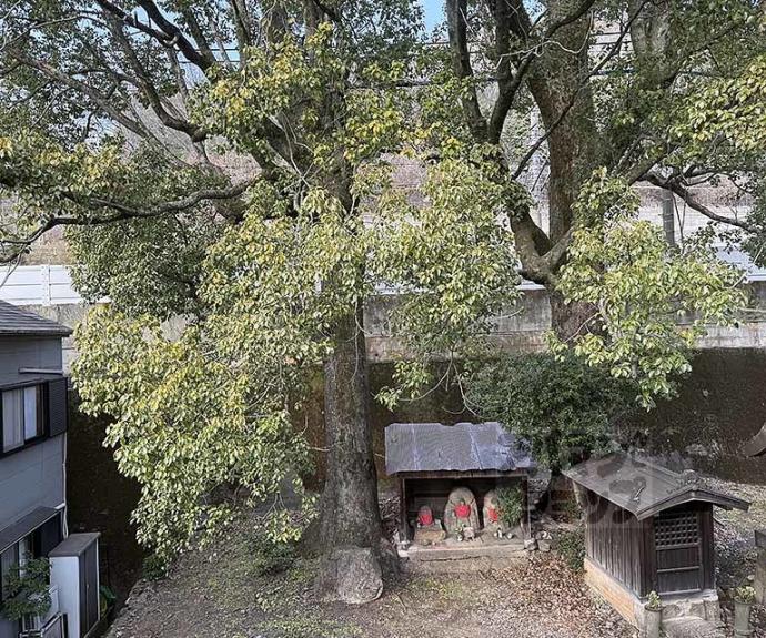 【リチェッターコロ】間取