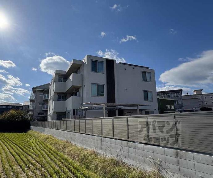 【ラ　ヴィータコモダ】間取