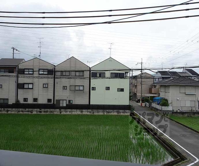 【シャーメゾン桂川】間取