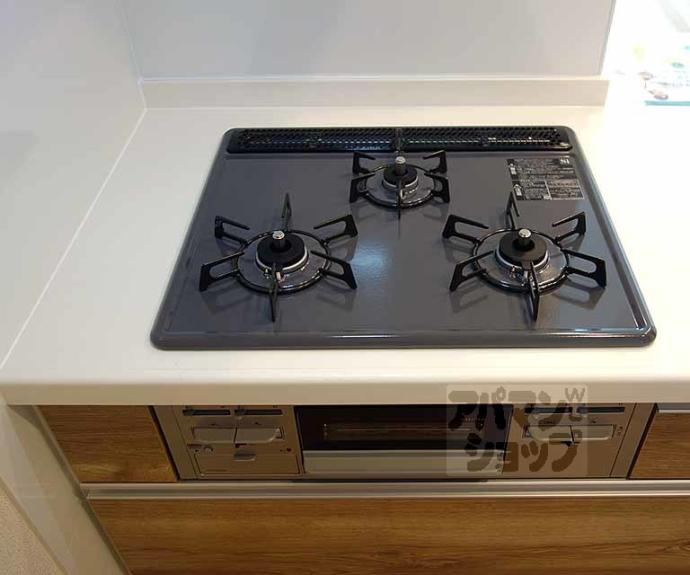 【シャーメゾン桂川】間取