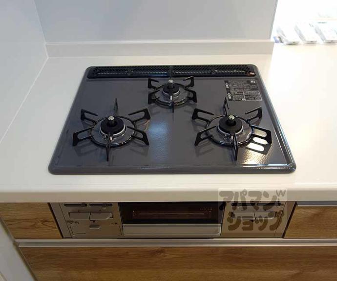 【シャーメゾン桂川】間取