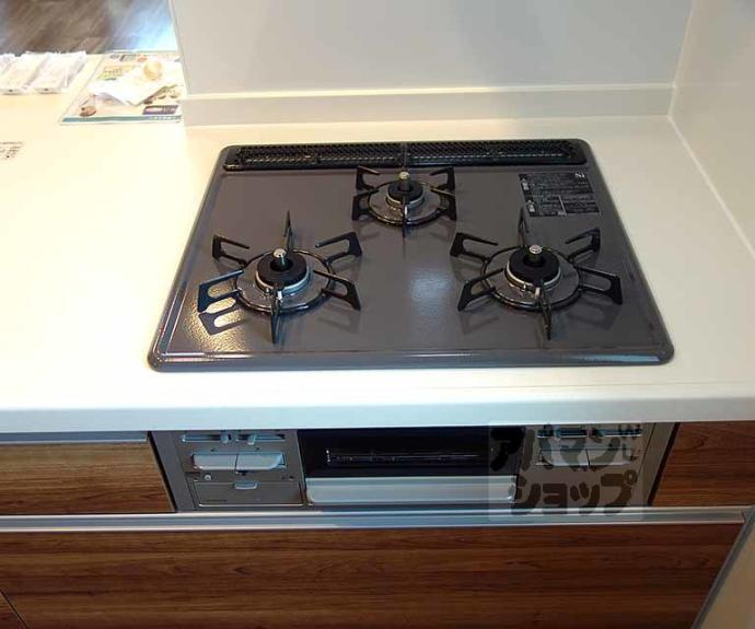 【シャーメゾン桂川】間取