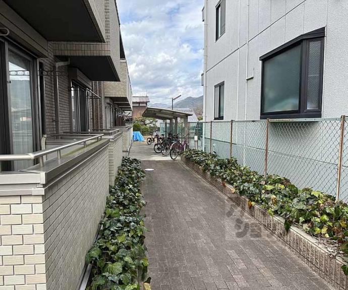 【ソレジオキタコセ】