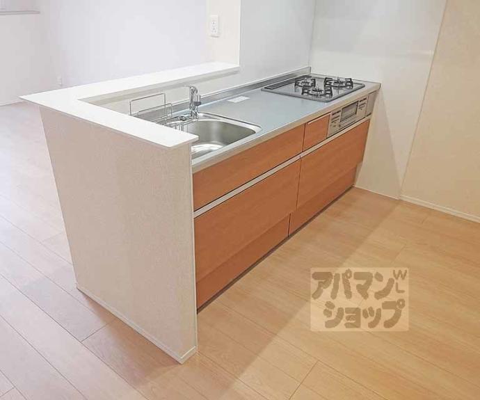 【ラフィーネ丹波橋】間取