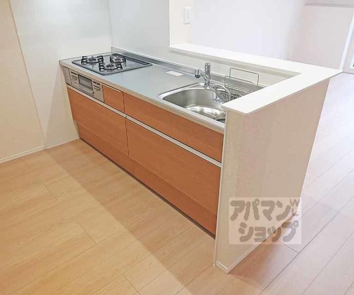 【ラフィーネ丹波橋】間取