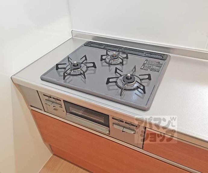 【ラフィーネ丹波橋】間取