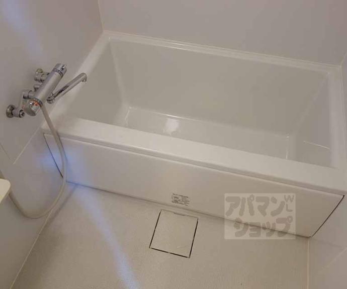 【シャリマー西高瀬】間取