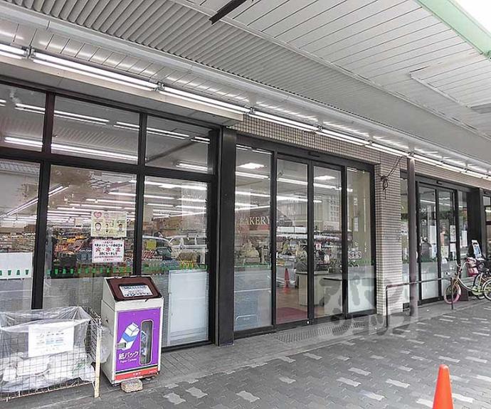 【プルミエ千本寺之内】間取